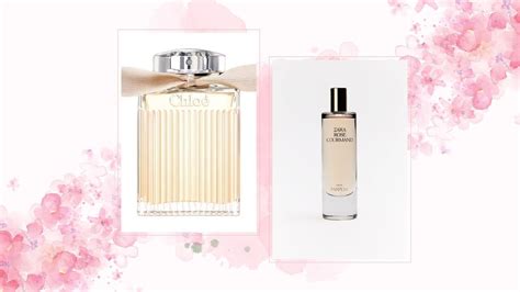 chloe dupe perfume|zara rose gourmand perfume dupe.